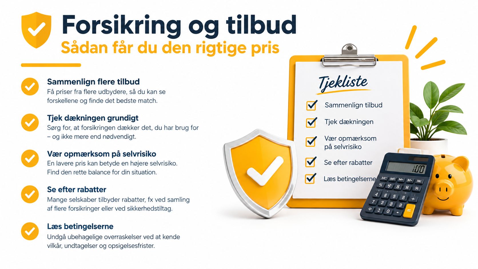 En infografik med en tjekliste og gode råd til at få den rette pris på forsikring.